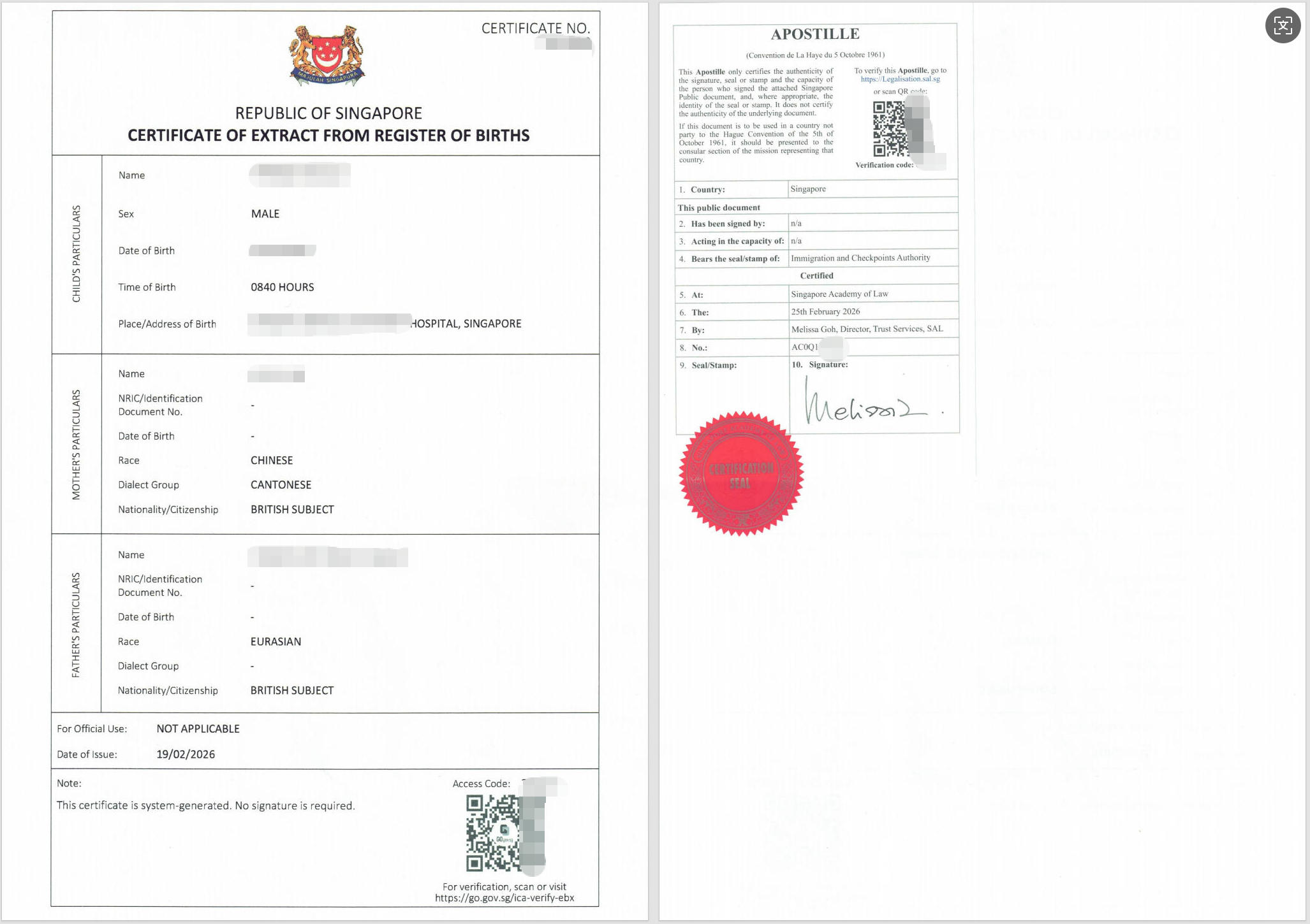 Birth_Certificate_Apostille.jpg