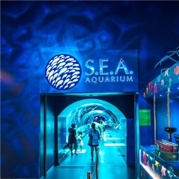 S.E.A.  Singapore Aquarium One-Day Ticket