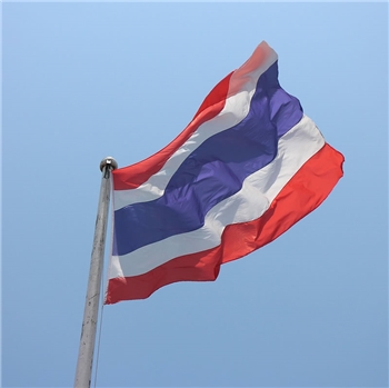 Thailand Pass Application Service, Travel Insurance Service