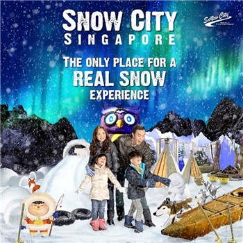 Singapore Snow City Admission Ticket Special Offer