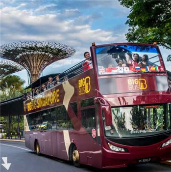 新加坡城市观光巴士BigBus（敞篷）