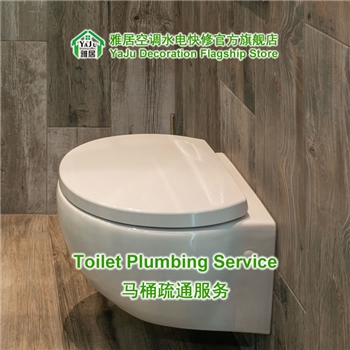 Toilet Plumbing Service, fixed price with professional service, no hidden cost