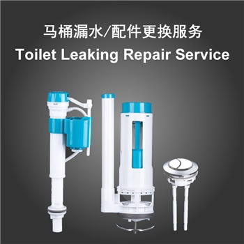 Toilet Tank Leaking Repair Service, Leaky Toilet Tank