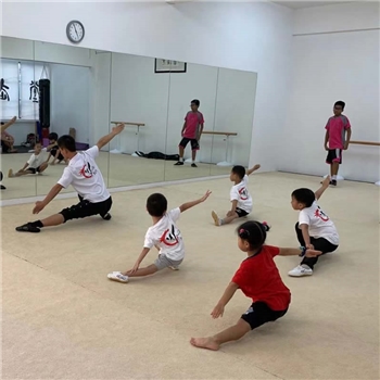 [WinWu Studio] Kids Wushu Group Class 10 Sessions
