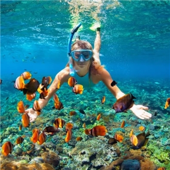 Bintan Tour Package, snorkeling and massage, Agro Beach Resort