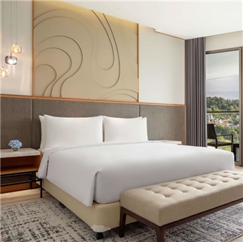 Batam Radisson Hotel, Tour Package, Ferry and Hotel Rooms