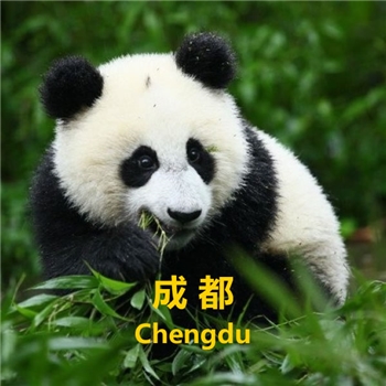 Chengdu -JiuZhaiGou 7D6N group tour, Panda Base, Huanglong, Mount Emei, Leshan Gaint Buddha