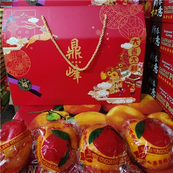 Lukan CNY Gift Box, 20pcs specs, good for sending as a gift